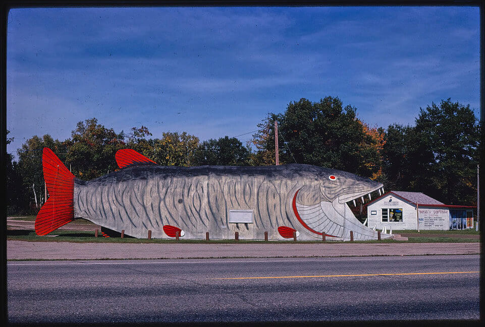 Big fish
